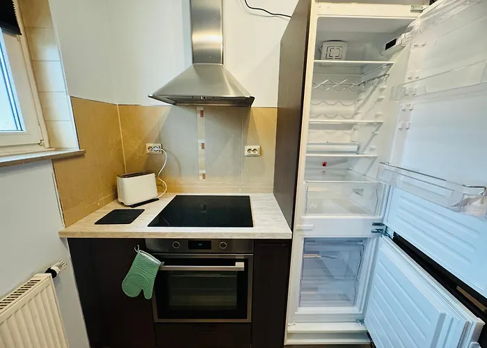 Grosse Mit Traumkueche I 24 H Check In I Free Parking Διαμέρισμα